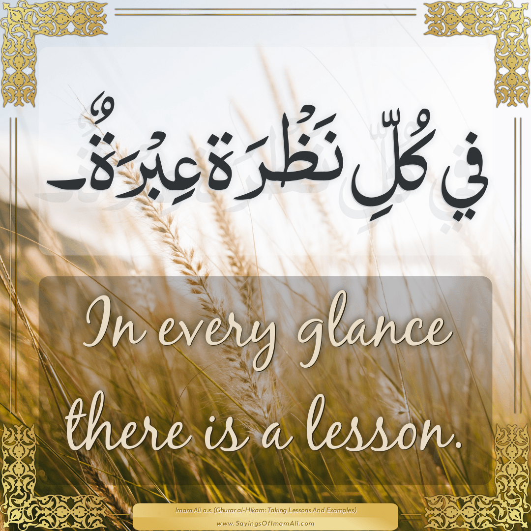 In every glance there is a lesson.